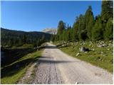 Rifugio Pederü - Furcia Rossa III